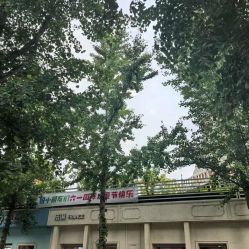 -爱儿美儿童摄影亲子馆(五路居店)