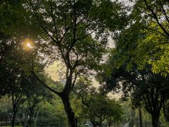 -晓港公园