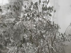 -瓦屋山景区