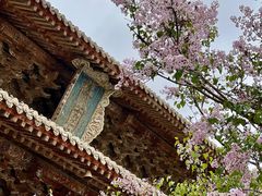 -瞿昙寺