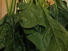 -蝎王府羊蝎子(西直门店)