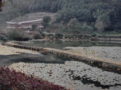 -桃花岭景区