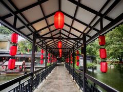 -侨美·唐荔园·40年地道粤菜