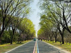 -同里国家湿地公园