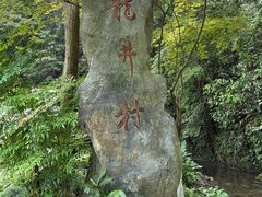 -十里琅珰