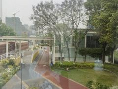 -Cetus coffee鲸鱼座咖啡·拼豆(二仙桥公园店)