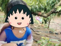 -樂桃源奉贤黄桃种植采摘基地