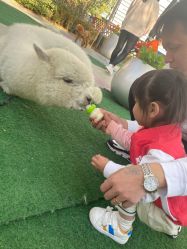 -萌宠亲子动物乐园(槐房万达店)