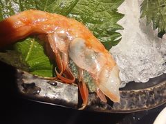-上井料理黑金店(IFS国金中心店)