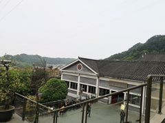 -老幺泉水鸡