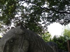 -上海佘山国家森林公园西佘山园