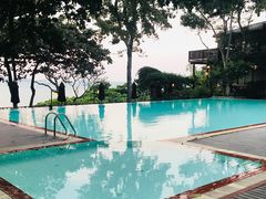 -卷心菜和避孕套餐厅(Pattaya)