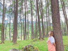 -硗碛藏寨·神木垒景区