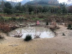 -径山花海