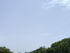 -洪湖生态旅游区