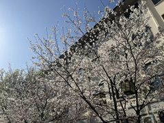 -南京林业大学-图书馆