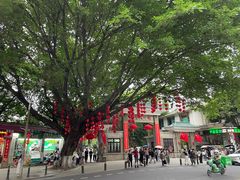 -荔湾湖公园