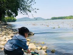 -东湖落雁景区