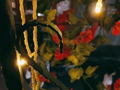 -Sirena海妖日咖夜酒