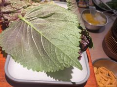 -将军牛排·尔滨地标朝鲜族美食(总店)