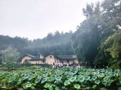 -韶山毛泽东同志故居