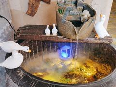 -崂山水果园农家宴(泉水鸡店)