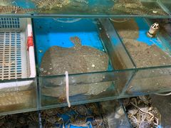 -北京清河镇农副产品交易市场中心