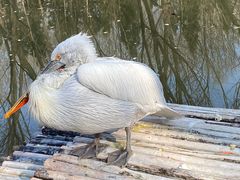 -济南野生动物世界