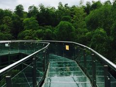 -陶祖圣境风景区