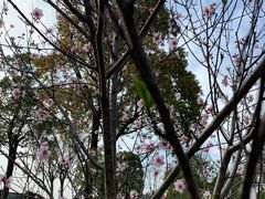 -上海月湖雕塑公园
