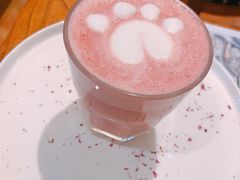 -more than meow吴止猫主题餐厅(承德 中船汇店)