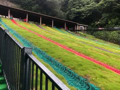 -梦幻奥陶纪景区