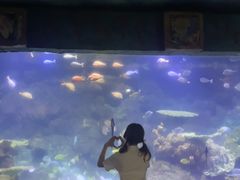 -南昌海洋公园
