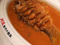 -阿五黄河大鲤鱼(纬三路店)