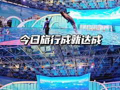 -海合安青岛极地海洋公园