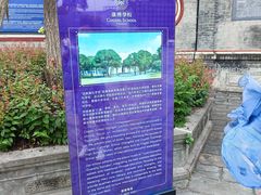 -安仁古镇