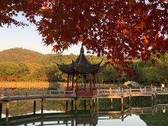 -九龙潭景区