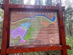 -汤旺河林海奇石景区
