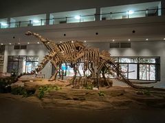 -自贡恐龙博物馆