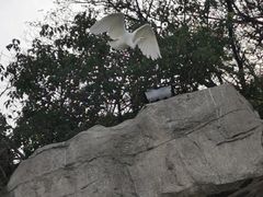 -达活泉公园