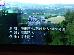 -INLOVE KTV(世博源店)