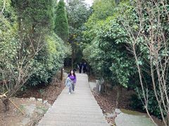 -瑞安圣井山景区