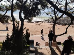 -青岛第二海水浴场