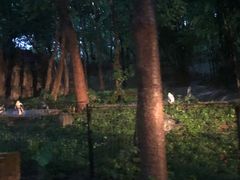 -清迈夜间动物园