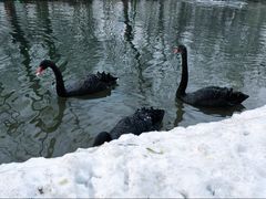 -长白岛森林公园