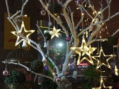 -蝴蝶汇音乐酒馆(罗湖店)