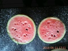 -庞各庄翠芳园西瓜蔬菜基地采摘园