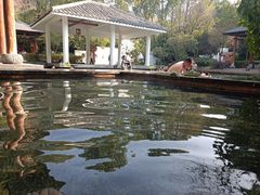 -深业半汤御泉庄温泉