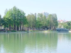 -四海公园(南山区)
