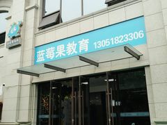 -蓝莓果幼儿园(通州梨园店)